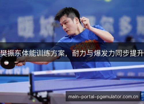 樊振东体能训练方案，耐力与爆发力同步提升
